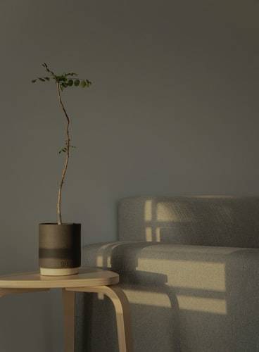 15 Cozy Places Ideas from Reddit