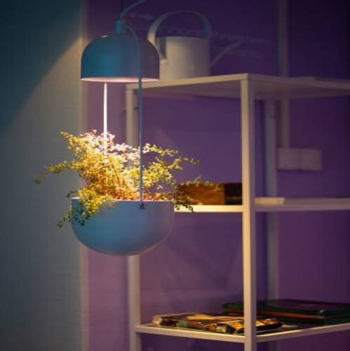 15 Cozy Places Ideas from Reddit