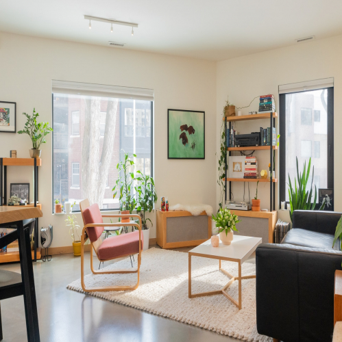 20 Best Budget Living Room Decorating Ideas for Budget Designers