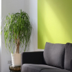 UNUSUAL COLOR PAINTING OF YOUR WALLS, HOW TO DECIDE?