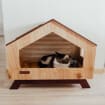 The Ultimate Stylish and Durable Home for Pets