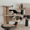 The Ultimate Stylish and Durable Home for Pets