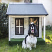 The Ultimate Stylish and Durable Home for Pets