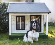 The Ultimate Stylish and Durable Home for Pets