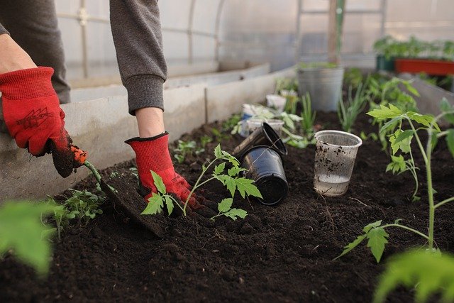 5 spring gardening tips for your balcony