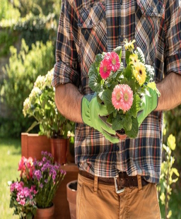 5 spring gardening tips for your balcony