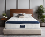 25 Best features of All-foam Comfort Queen Size Mattresses 