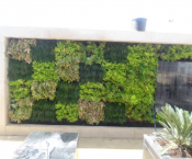 New artificial green wall