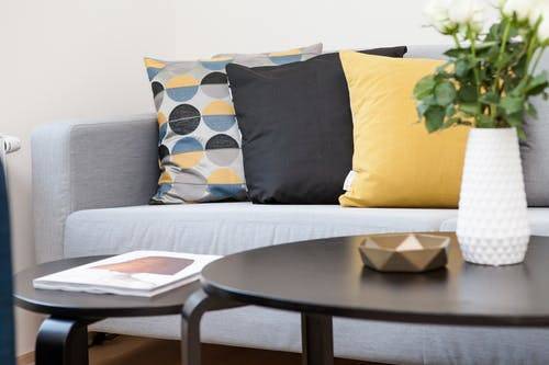 enterpiece on Coffee Table Beside Sofa With Three Pillows