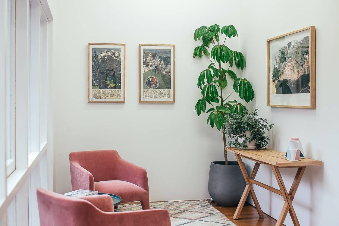 ed Sofa Chair Near Green Plant